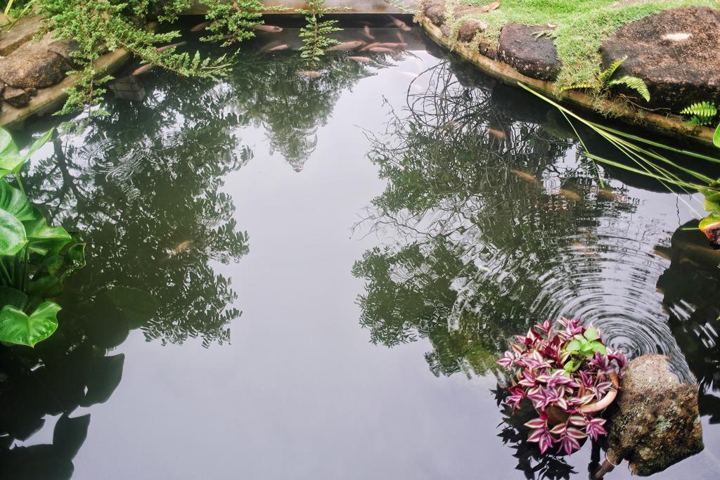 Harmony Valley Retreat Bukit Tinggi Esterno foto